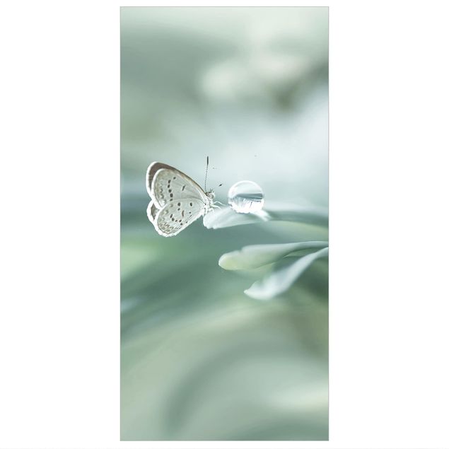 Panneau de séparation - Butterfly And Dew Drops In Pastel Green