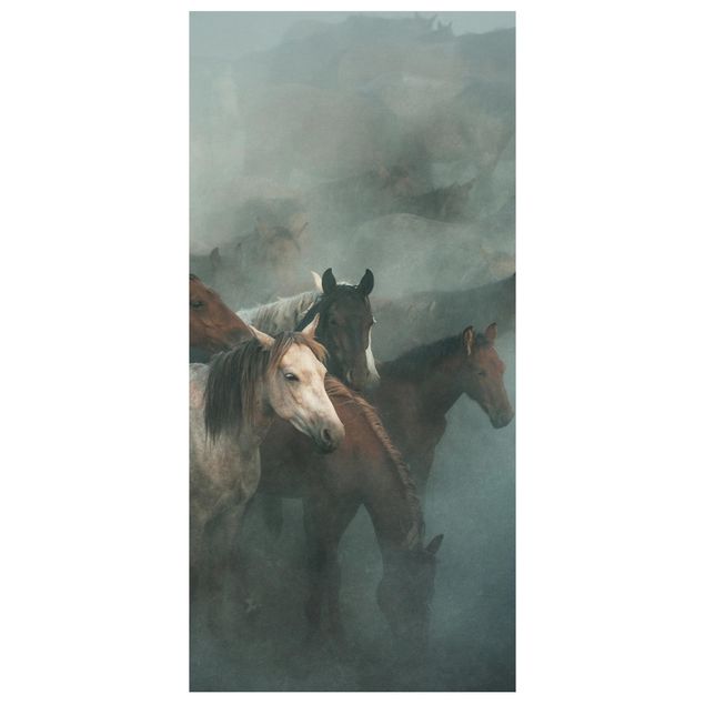 Panneau de séparation - Wild Horses