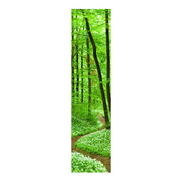 Panneau japonais paysage Chemin de forêt romantique