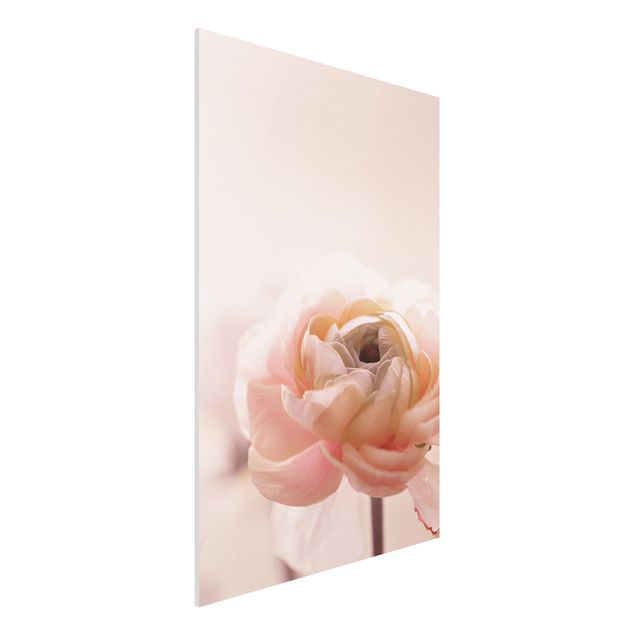 Déco mur cuisine Focus sur une fleur rose pâle