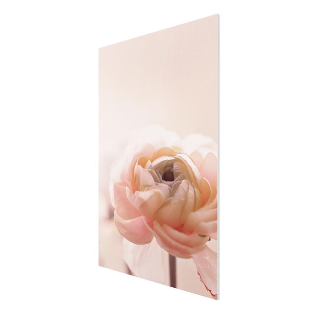 tableaux floraux Focus sur une fleur rose pâle