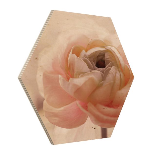 Tableau fleurs Focus sur une fleur rose pâle