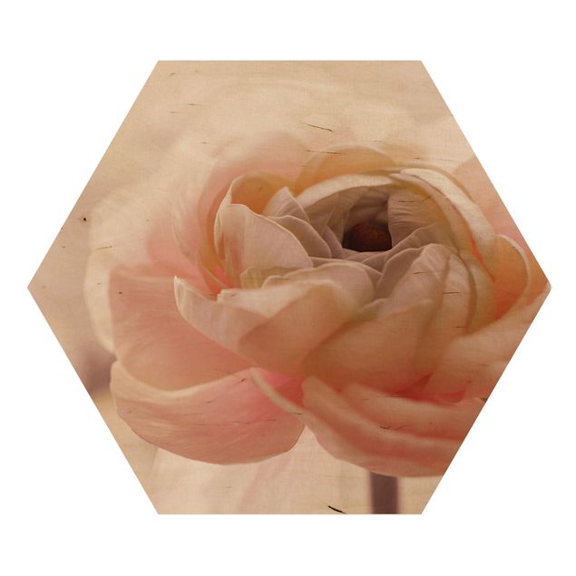 Tableau rose Focus sur une fleur rose pâle