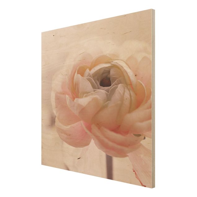 Tableau décoration Focus sur une fleur rose pâle