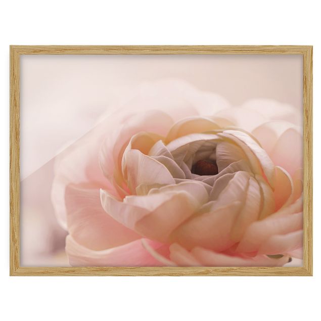 Tableaux fleurs Focus sur une fleur rose pâle