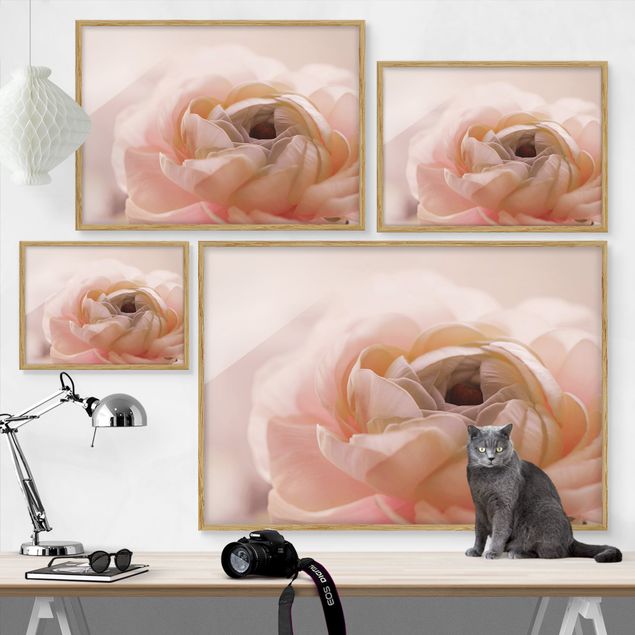 Tableaux rose Focus sur une fleur rose pâle