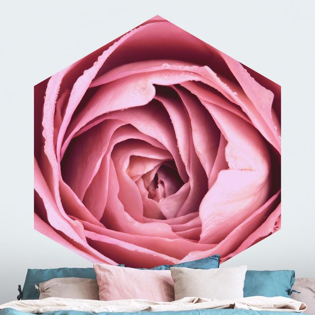 Papier peint roses Fleur de Rose rose