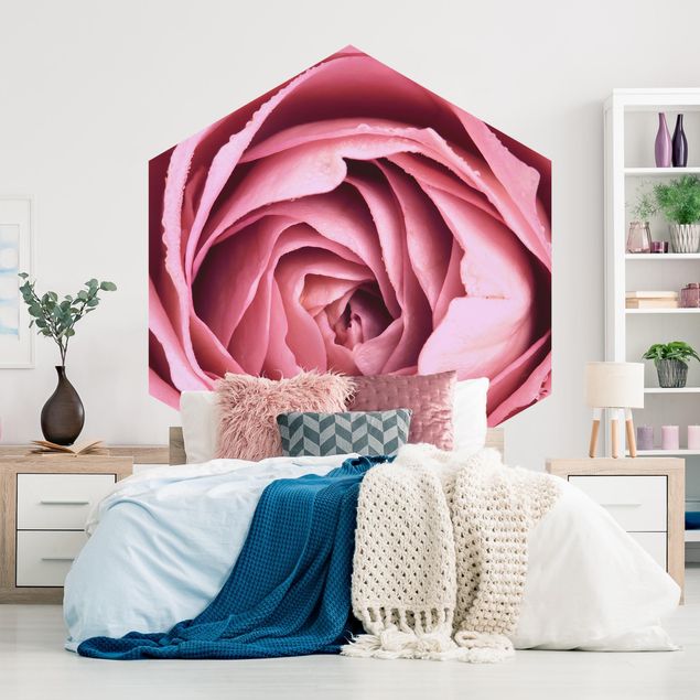Papier peint moderne Fleur de Rose rose