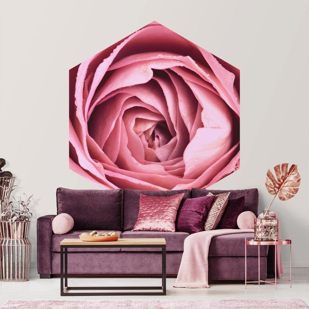 Papier peint fleurs Fleur de Rose rose