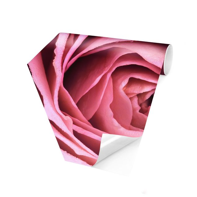Papier peint campagne Fleur de Rose rose