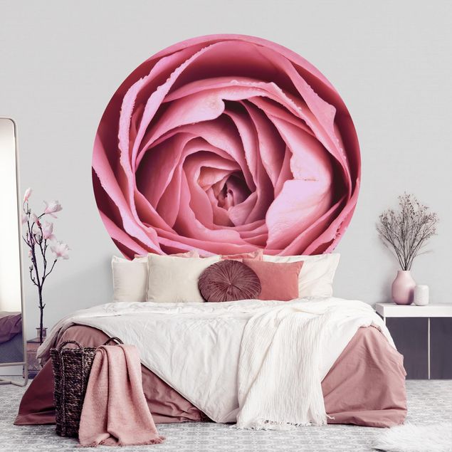 Déco murale cuisine Fleur de Rose rose