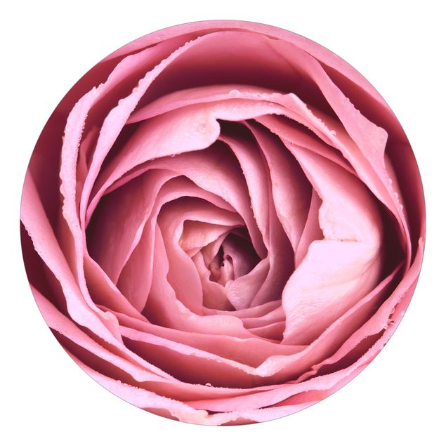 Papier peint floral Fleur de Rose rose