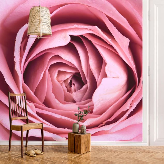 Papier peint fleurs roses Fleur de Rose rose