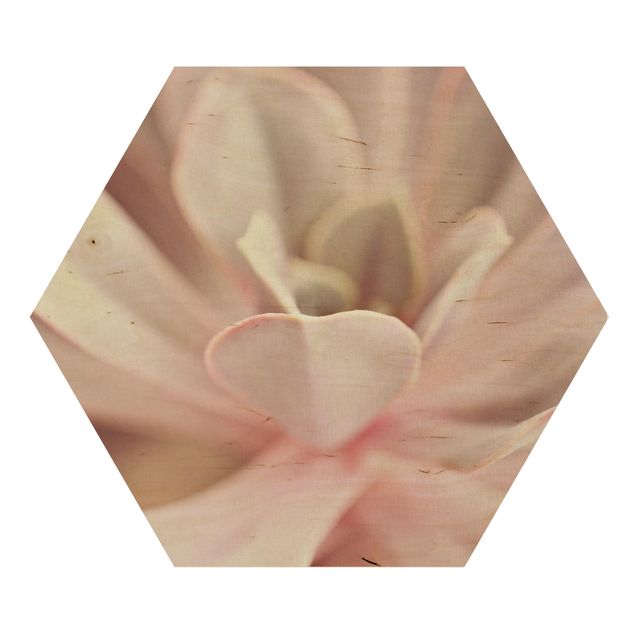 Tableau couleur rose Fleurs de plantes succulentes roses