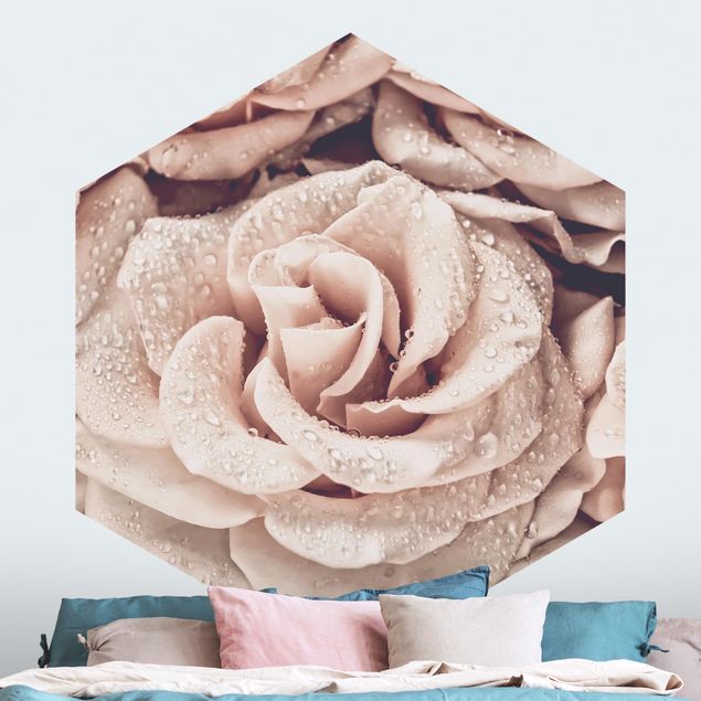 Papier peint roses Roses Sépia avec Gouttes D'eau