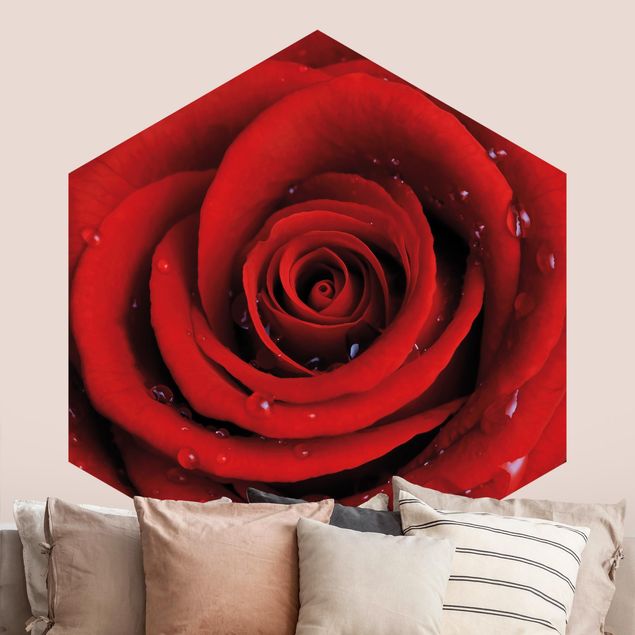 Papier peint roses Rose rouge avec gouttes d'eau