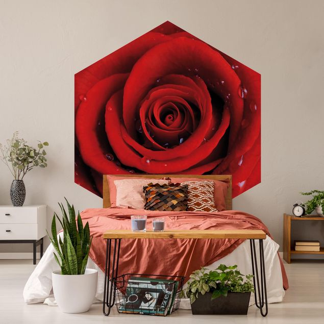 Papier peint moderne Rose rouge avec gouttes d'eau