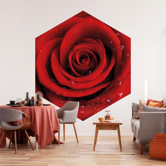 Papier peint fleurs Rose rouge avec gouttes d'eau