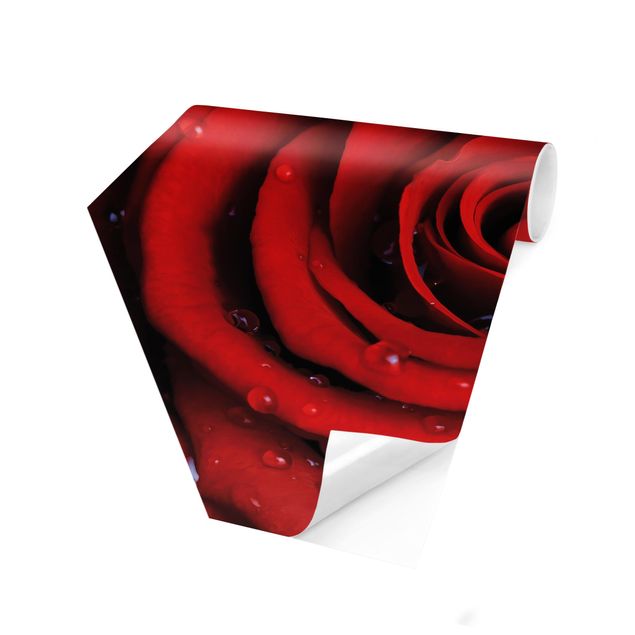 Papiers peintspanoramique hexagonal Rose rouge avec gouttes d'eau