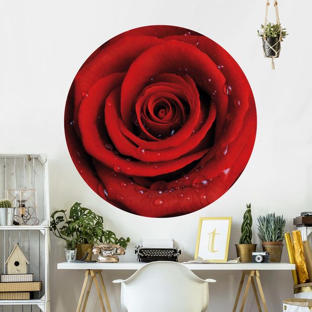 Papier peint fleurs roses Rose rouge avec gouttes d'eau