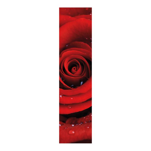 Panneaux coulissants avec fleurs Rose rouge avec gouttes d'eau
