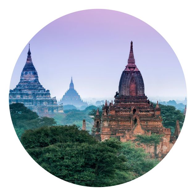 Tapisserie verte Parc du temple de Bagan