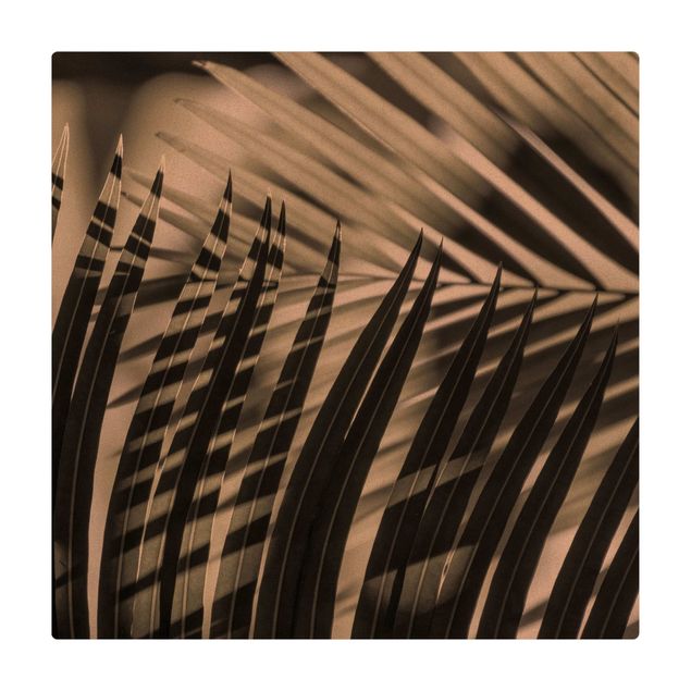 Tapis en liège - Interplay Of Shaddow And Light On Palm Fronds - Carré 1:1