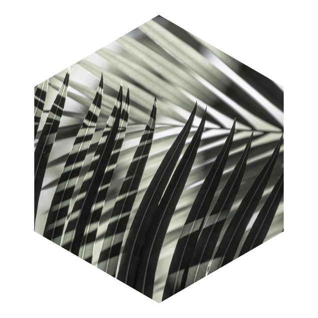 Papier peint hexagonal autocollant avec dessins - Interplay Of Shaddow And Light On Palm Fronds