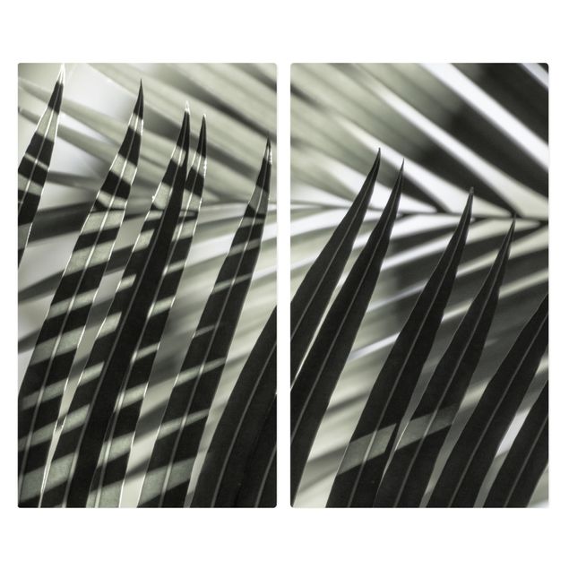 Cache plaques de cuisson - Interplay Of Shaddow And Light On Palm Fronds