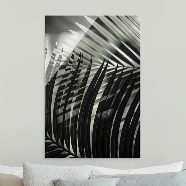 Tableaux paysage Jeu d'ombres sur une branche de palmier
