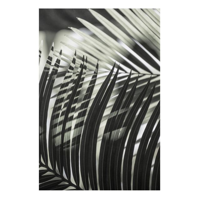 Tableau paysages Jeu d'ombres sur une branche de palmier