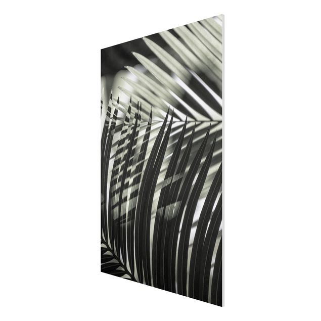 Tableaux moderne Jeu d'ombres sur une branche de palmier