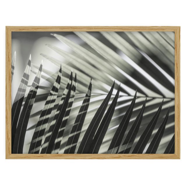 Tableau moderne Jeu d'ombres sur une branche de palmier