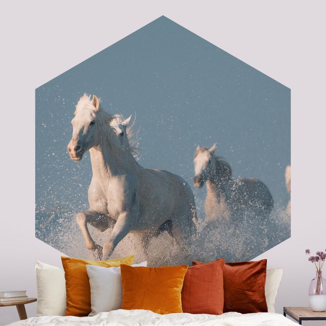 Papier peint cheval Troupeau de chevaux blancs