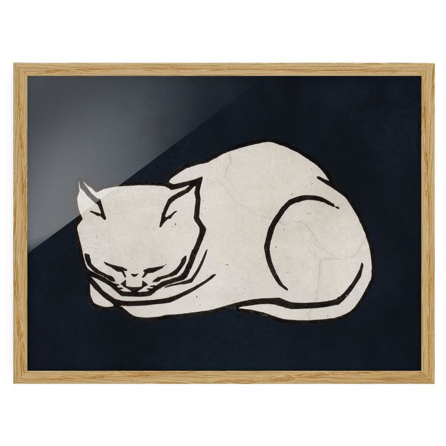 Affiches encadrées animaux Illustration d'un chat endormi