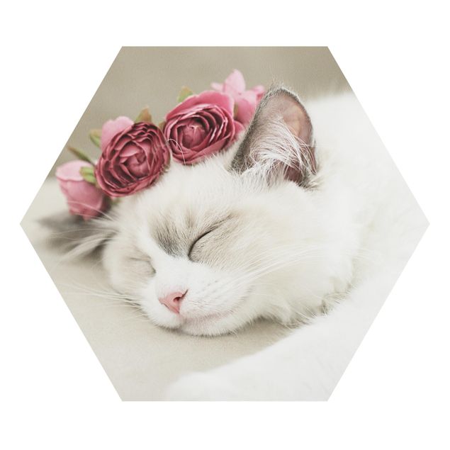 Tableaux animaux Chat endormi avec des roses