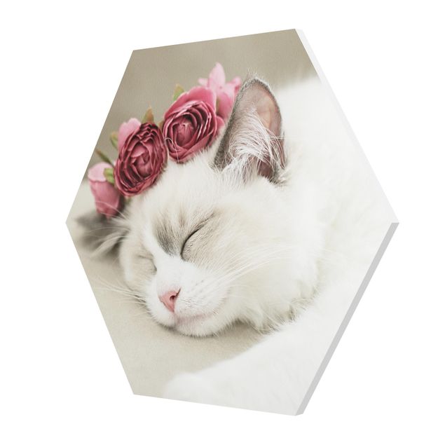 Tableau forex Chat endormi avec des roses