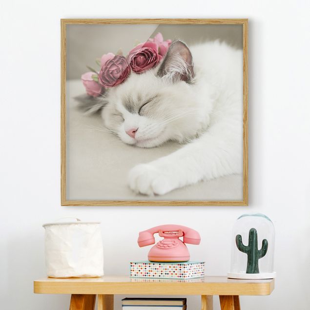 Déco chambre enfant Chat endormi avec des roses
