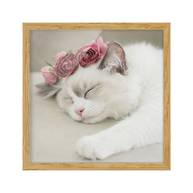 Tableaux moderne Chat endormi avec des roses