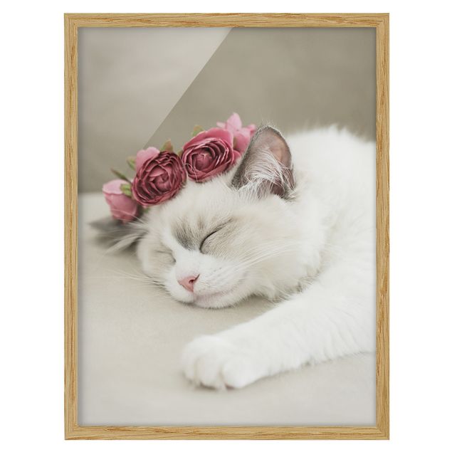 Tableaux moderne Chat endormi avec des roses