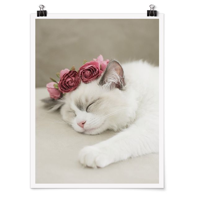 Tableaux fleurs Chat endormi avec des roses