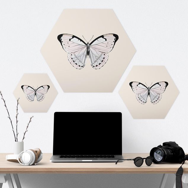 Hexagone en forex - Butterfly On Beige