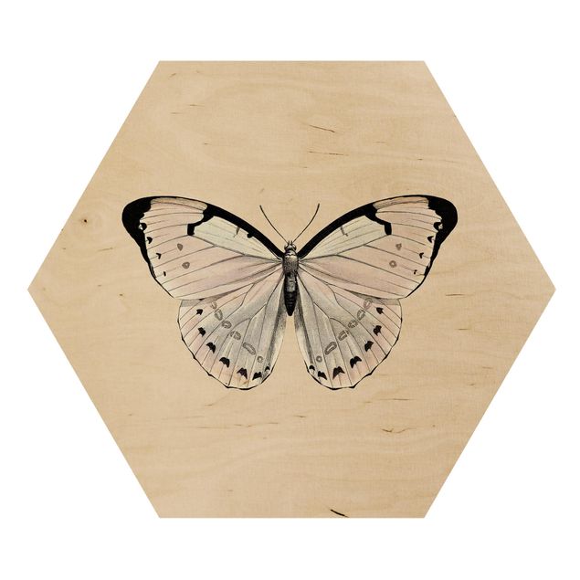 Tableaux muraux Papillon Sur Beige