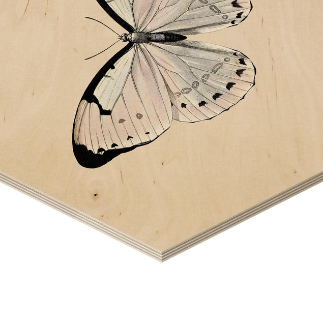 Hexagone en bois - Butterfly On Beige