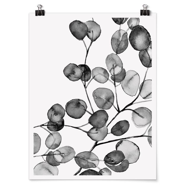 Posters en noir et blanc Rameau d'Eucalyptus Noir et Blanc Aquarelle