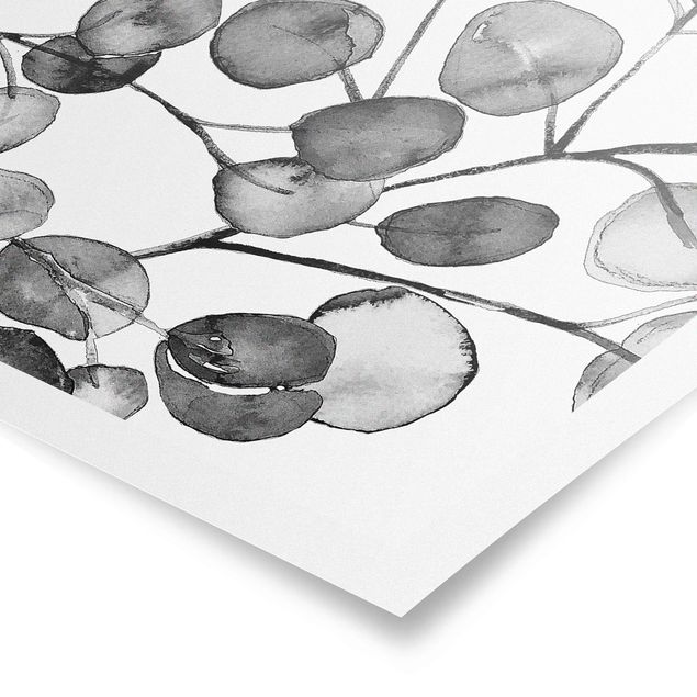 Tableaux noir et blanc Rameau d'Eucalyptus Noir et Blanc Aquarelle