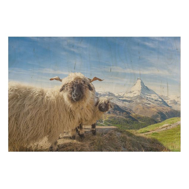 Tableaux en bois avec paysage Moutons à nez noir de Zermatt