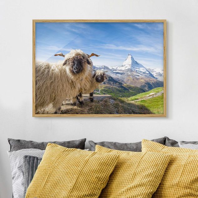 Déco mur cuisine Moutons à nez noir de Zermatt