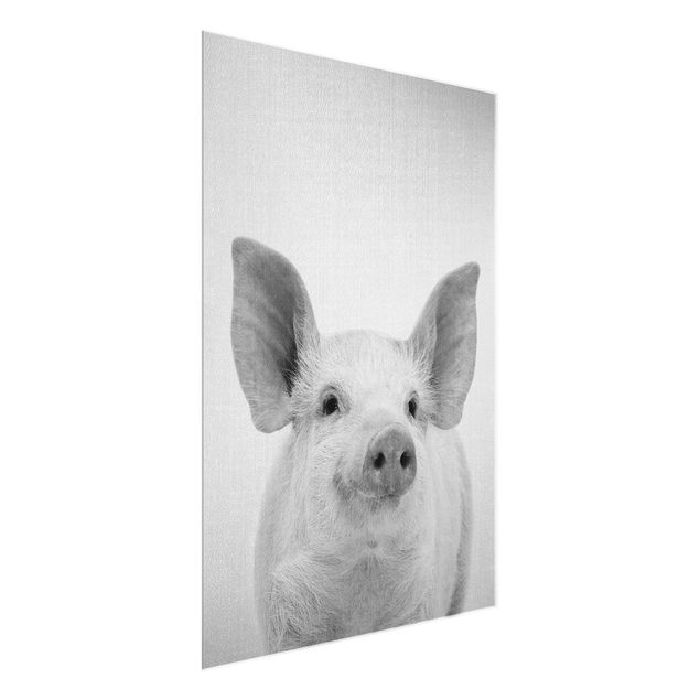 Tableaux animaux Cochon Shorsh Noir Et Blanc