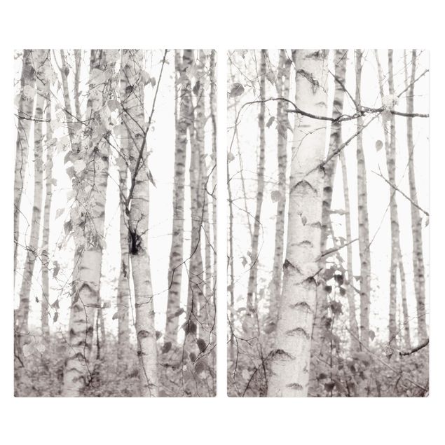 Cache plaques de cuisson - Silver Birch Tree In White Light